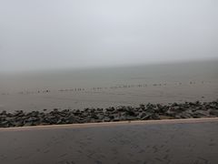 -深圳湾公园(南山区)