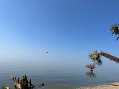 -捞渔河湿地公园