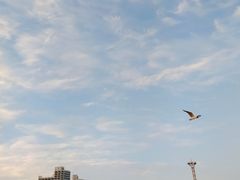 -南戴河旅游度假区