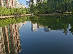 -团结湖公园