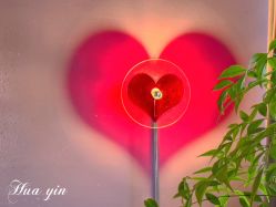 -花隐·美芙炫海菲秀皮肤管理中心