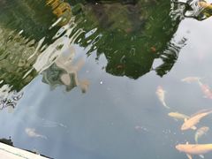 -千滋百味·醉江澜花园餐厅(街道口店)