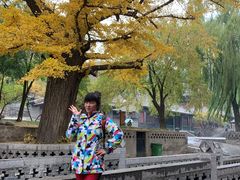-晋祠公园