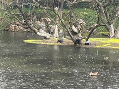 -柳莺湖上·湖景餐厅·江南菜(西湖店)