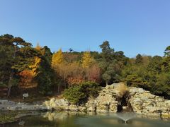 -香山公园