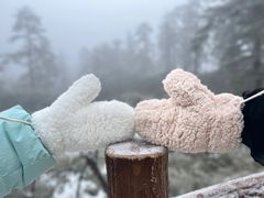 -瓦屋山景区