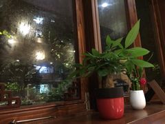 iphone_upload_pic-看书吧(体育东横路店)