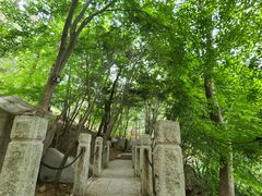 -崂山巨峰游览区