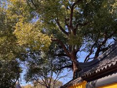 -西园戒幢律寺