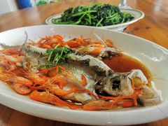 -八仔大富楼·河鲜(西江店)