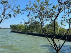 -无锡蠡湖国家湿地公园-蠡园