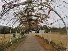 -水底山庄园温泉