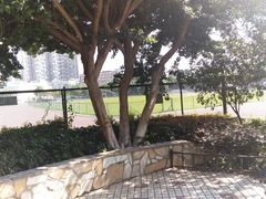 -金牛体育中心(金牛体育馆店)