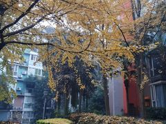 -薇薇安千层蛋糕(府城店)