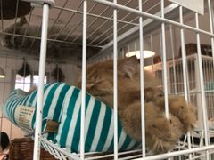 -小时光咖啡馆(北锣鼓巷店)