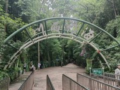 -川西竹海景区