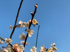-白塘生态植物园