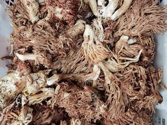 -茶马古道·野生菌清汤黄牛肉(沙溪店)