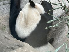 -北京动物园