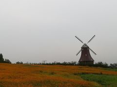 -紫颐香薰山谷景区