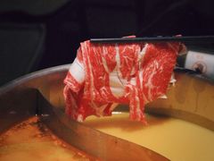 -熹悟海鲜火锅·广式打边炉