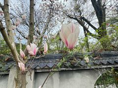 -两河城市森林公园