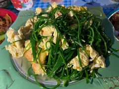 -沙洲胡杨焖饼