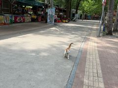 -廊坊市自然公园