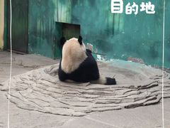 -杭州野生动物世界