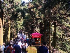 -南岳衡山风景名胜区