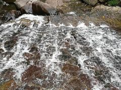 -湖州龙王山景区
