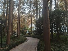 -上海怡沁园度假酒店