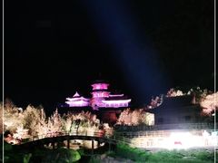 -禅宗少林·音乐大典