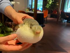 -肆月河豚·淮扬菜·湘菜(华天店)