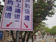 -嘉定紫藤园