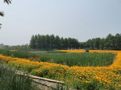 -江苏三台山国家森林公园