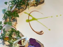 新西兰青口贝色拉佐柠檬橙味啫喱-弦月窗LUNETTE BY AMANDA(复兴路店)