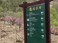 -北京凤凰岭