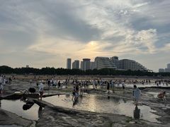 -日照灯塔风景区