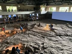 -自贡恐龙博物馆