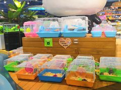 -龟与熊猫宠物公园(南坪店)