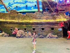 -青岛嘉年华主题乐园