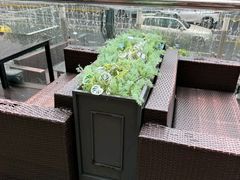 -雪熊精酿·哈尔滨烧烤酒馆(非遗大串店)