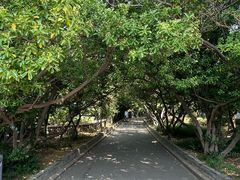 -烟台山景区