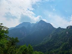 -王顺山国家森林公园