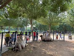 -长白岛森林公园