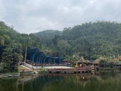 -西双版纳原始森林公园