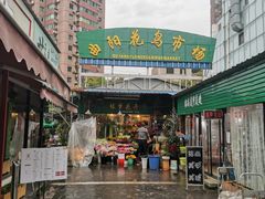 -曲阳花鸟市场(曲阳路店)