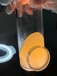 -爱小熊轻医美