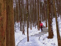 -山王坪喀斯特国家生态公园